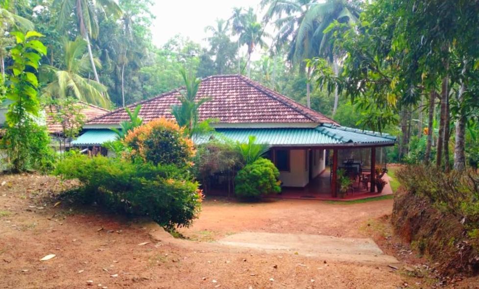 דיקוולה Hiriketiya Green Hill Home מראה חיצוני תמונה